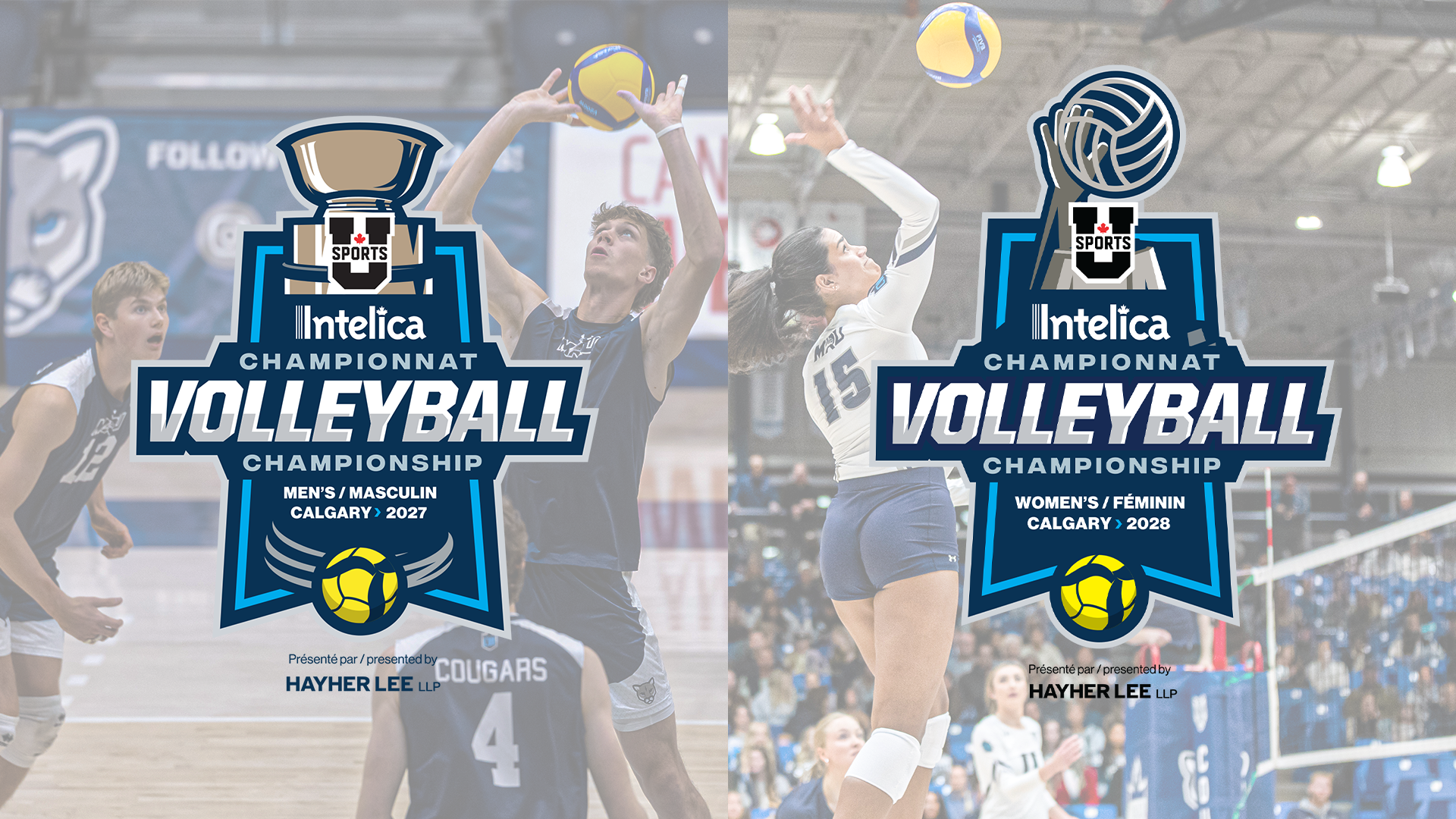 Intelica Solutions Inc. et Hayher Lee LLP s&rsquo;associent &agrave; U SPORTS et &agrave; l&rsquo;Universit&eacute; Mount Royal en vue des Championnats nationaux de volleyball 2027 et 2028
