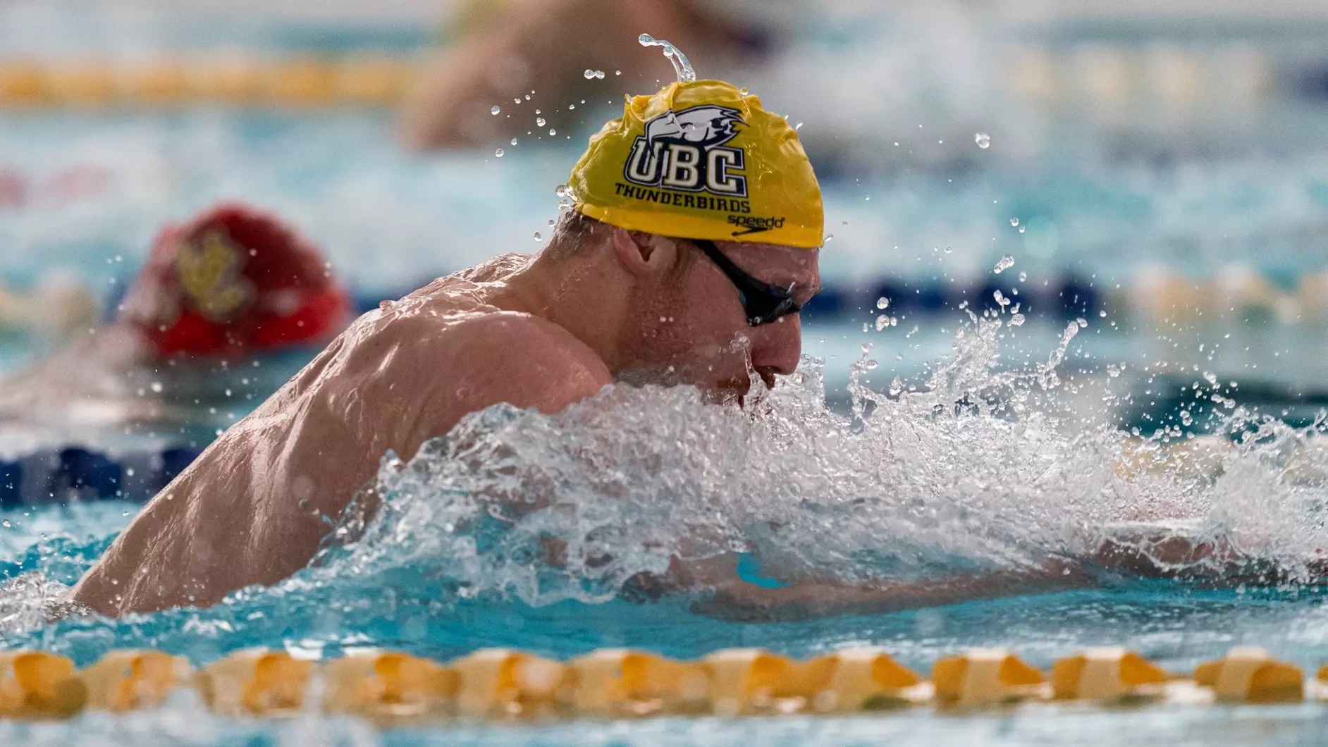 Classements de natation masculin - 2 d&eacute;c. 2024